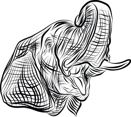 Black and white elephant head hand drawn sketch vector illustrationのイラスト素材