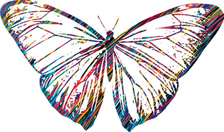 Colorful Butterfly sketch vector illustrationのイラスト素材