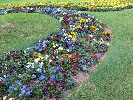 Colorful Flower beds in formal gardenの写真素材