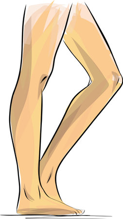 Silhouettes of lady legs and feet, vector illustration Slim, long, and elegant woman legs and feet. Legs design elements.のイラスト素材