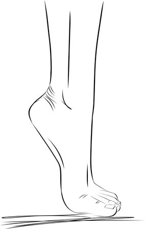 Beautiful female feet. Hand drawn vector illustration of realistic human feet. Healthy foot.のイラスト素材