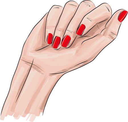 Beautiful woman hand with long red nails manicure, nail polish salon, vector sketch illustration.のイラスト素材