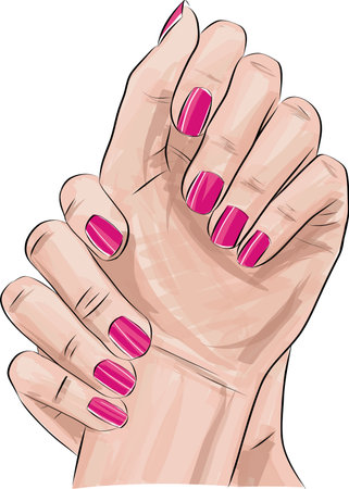 Beautiful woman hand with long red nails manicure, nail polish salon, vector sketch illustration.のイラスト素材