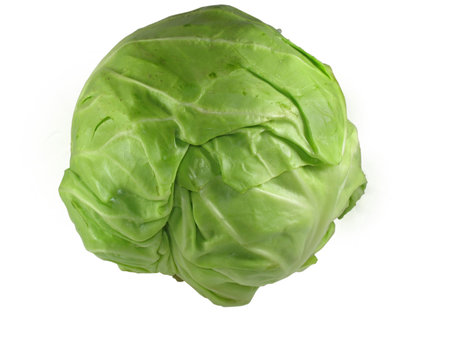 Green cabbage vegetable isolated over white backgroundの写真素材