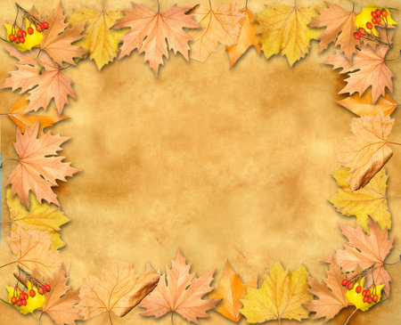 Autumn leaves yellow frame over old paper background parchment with space for text or imageの写真素材