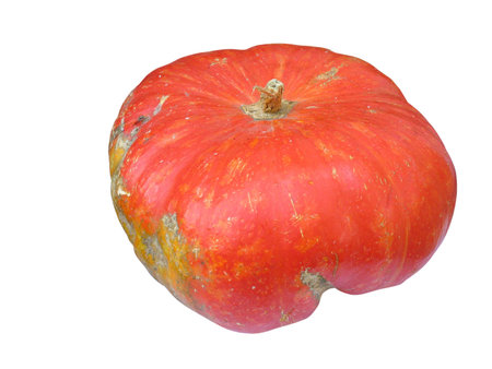 old red pumpkin isolated over white backgroundの写真素材