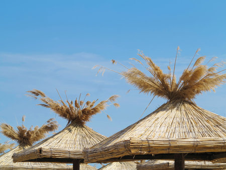 Bamboo beach umbrellas concept over blue sky backgroundの写真素材