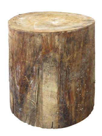 Wood log isolated on a white background .の写真素材