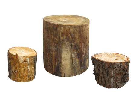 Garden furniture made from wooden log isolated on white backgroundの写真素材