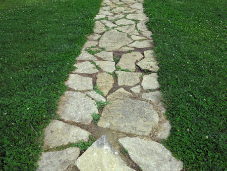Paved stone brick walkway through green grass lawnの写真素材