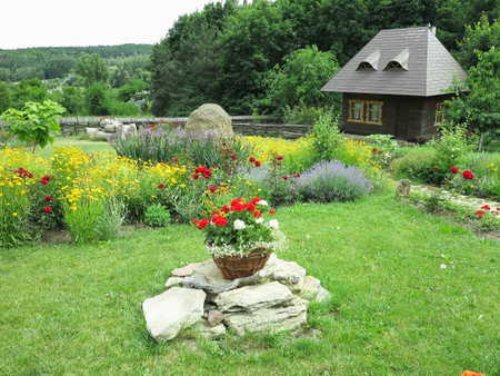 idyllic view of a small house on a background of flowers and green forestの写真素材