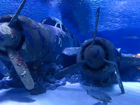 Old drowned vintage aircraft at the bottom of the seaの写真素材