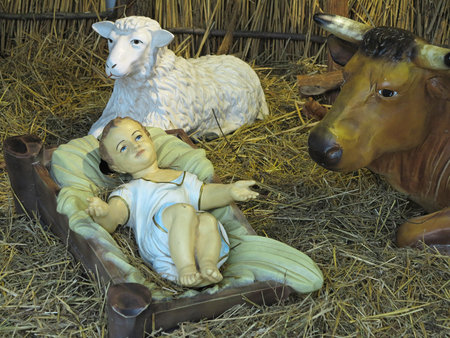 Realistic christmas nativity scene with figurines including Jesus and domestic animalsの写真素材
