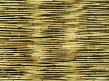 Yelow natural bamboo plank fence texture backgroundの写真素材