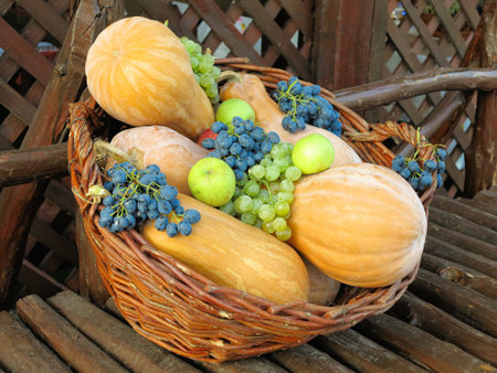 Wicker basket filled with colorful organic vegetables fresh harvest pumpkin, grapes and applesの写真素材