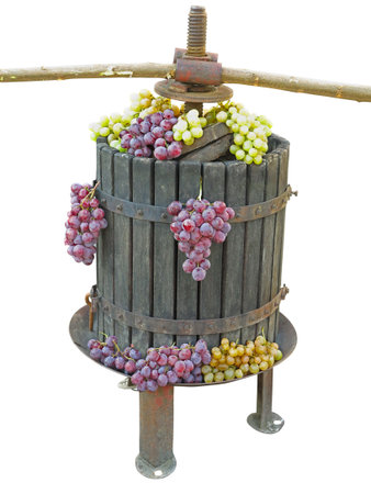 Old traditional manual wine press utensil with grape bunch isolated over white backgroundの写真素材