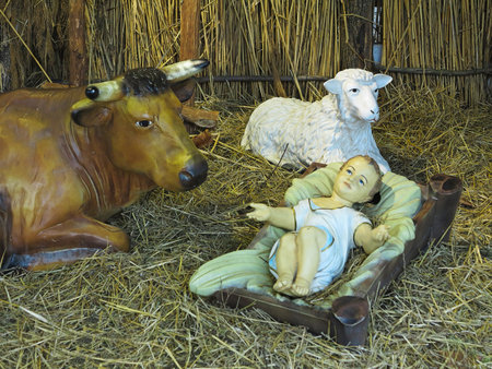 Realistic christmas nativity scene with figurines including Jesus and domestic animalsの写真素材