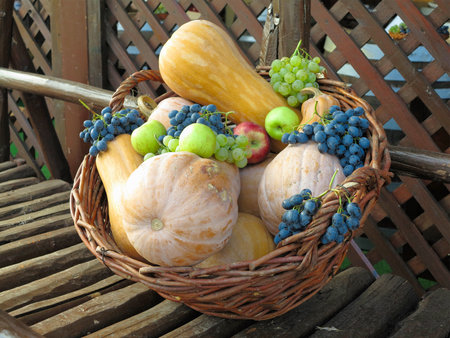 Wicker basket filled with colorful organic vegetables fresh harvest pumpkin, grapes and applesの写真素材