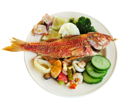Cooked fish and seafood- mussel squid cucumber on dish isolated over white backgroundの写真素材