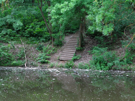 An old staircase descends through green forest to an abandoned lakeの写真素材