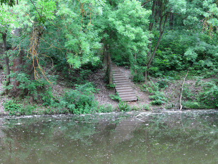 An old staircase descends through green forest to an abandoned lakeの写真素材