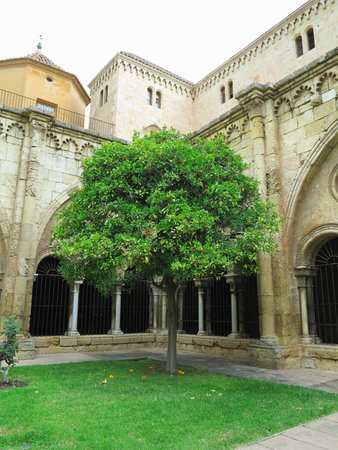 Architectural details of Medieval catholic cathedral Saint Mary in Tarragona, Catalonia, Spain.の写真素材