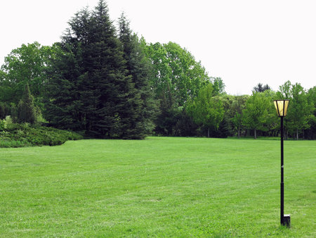 trimmed green lawn at the edge of the forest landscapeの写真素材