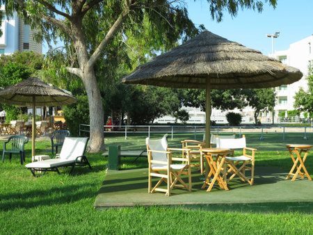 Beautiful landskape, palm trees and sun loungers at a resortの写真素材