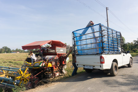 transfer paddy  to truckのeditorial素材