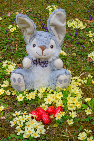 Easter 2020 concept during Coronavirus COVID-19 worldwide pandemic with Easter bunny wearing a medical mask and colorful spring flowers in the garden. Selective focusの写真素材