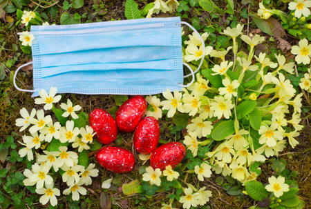 Easter 2020 concept during Coronavirus COVID-19 worldwide pandemic with a medical mask, red Easter eggs and colorful spring flowers in the garden. Selective focusの写真素材