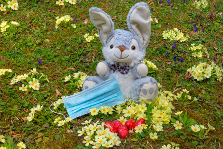 Easter 2020 concept during Coronavirus COVID-19 worldwide pandemic with Easter bunny holding a medical mask and colorful spring flowers in the garden. Selective focusの写真素材