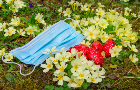 Easter 2020 concept during Coronavirus COVID-19 worldwide pandemic with a medical mask, red Easter...
