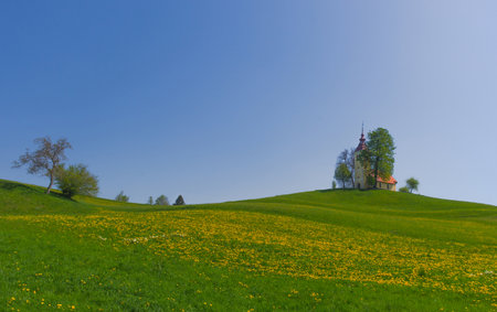 Slovenian countryside in spring with charming little church on a hill and blooming dandelions and daffodils wildflowers. Sunny spring morning in Slovenia.の写真素材