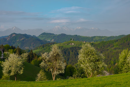 Slovenian breathtaking landscape with Julian Alps and charming little church of Sveti Tomaz (Saint Thomas) on a hill. Beautiful spring in the mountains, in Slovenia.の写真素材