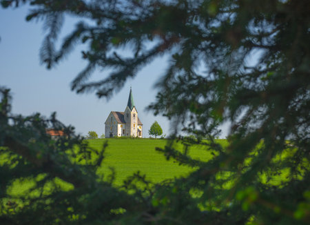 Slovenian countryside in spring with charming little church on a hill and natural frame, in Sloveniaの写真素材