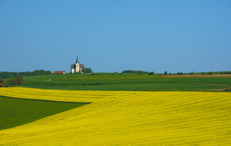 Slovenian countryside in spring with charming little church on a hill and flowering rapeseed field, in Sloveniaの写真素材