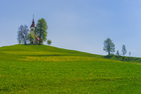 Slovenian countryside in spring with charming little church on a hill and blooming dandelions and daffodils wildflowers. Sunny spring morning in Slovenia.の写真素材