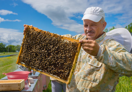 Salaj, Transylvania region, Romania - May 16, 2018: Beekeeper inspecting honeycomb frame at apiary, holding a honeycomb full of bees.のeditorial素材