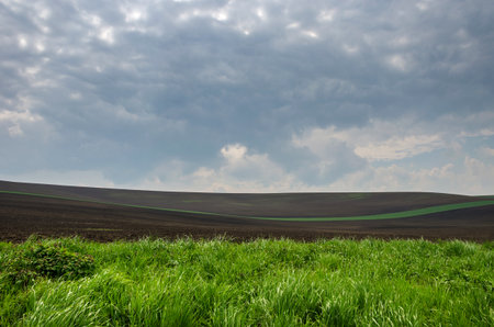Beautiful and colorful abstract landscape, with rolling hills, green wheat fields and yellow rape fields in South Moravia, Czech Republicの写真素材
