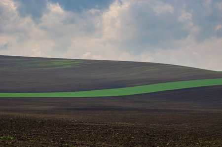 Beautiful and colorful abstract landscape, with rolling hills, green wheat fields and yellow rape fields in South Moravia, Czech Republicの写真素材