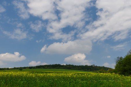 Beautiful and colorful abstract landscape, with rolling hills, green wheat fields and yellow rape fields in South Moravia, Czech Republicの写真素材