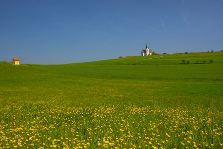 Slovenian countryside in spring with charming little church on a hill, in Sloveniaの写真素材
