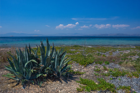 The wild coast of Aegina island with clear and blue waters of Mediterranean sea in the Saronic gulf, Greece.の写真素材