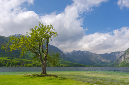 Clear blue water of lake Bohinj, Julian Alps, the largest permanent lake in Slovenia. Beautiful mountain landscape in spring.の写真素材