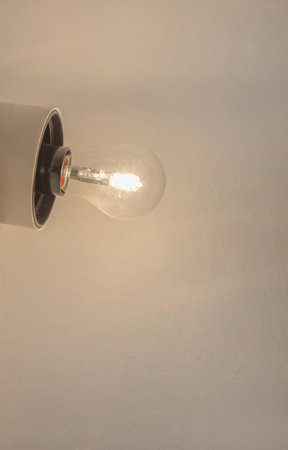 Old vintage light bulb on a white wall