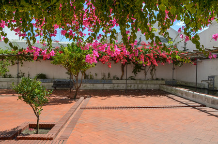 Lisbon rooftops with Se Cathedral (Santa Maria Maior de Lisboa), in Portugal, Europeの写真素材