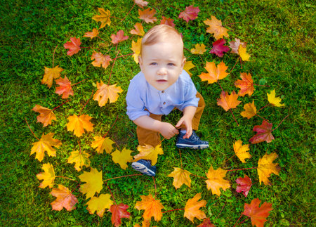 Small child playing with colorful leaves in the park, in autumn. Cute baby boy portrait having fun outdoor in nature, in sunny fall day. Top viewの写真素材