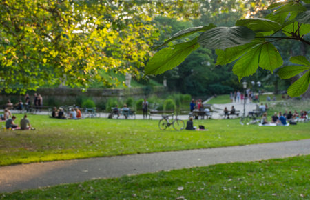 Chestnut leaves and people relaxing in the park, at sunset, in Graz, Styria region, Austria. Selective focus.のeditorial素材