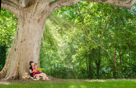 Mother reading a book with her cute little child under an old plane tree in the park. Funny and educative outdoor activity for children, in sunny summer dayの写真素材